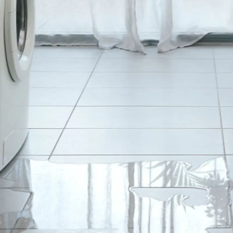 Appliance Leak Cleanup in Hartville, MO
