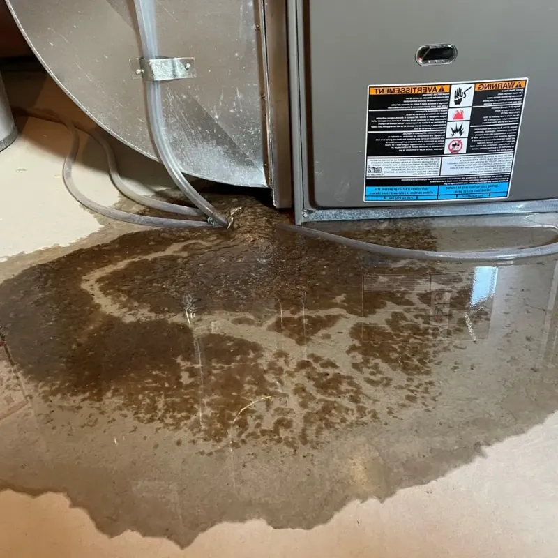 Pipe Burst and Leak Restoration in Hartville, MO