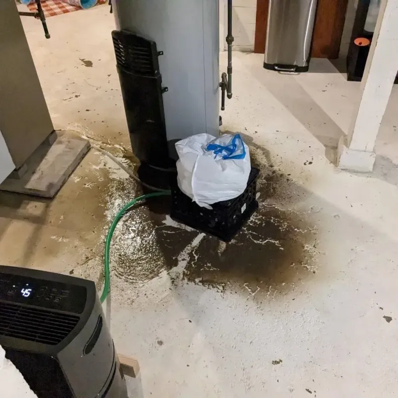 Sewage Backup Cleanup Service in Hartville, MO